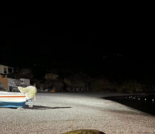 Eolie, un’altra tartaruga tenta di deporre le uova senza successo