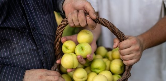 Incontro per la promozione e tutela della “Smergia del Niceto”