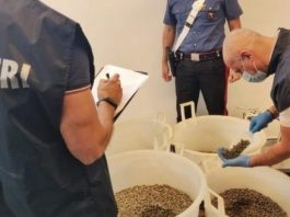 Frodi alimentari: i capperi “delle Eolie” venivano dall’Africa, sequestrate 13 tonnellate dai Nas