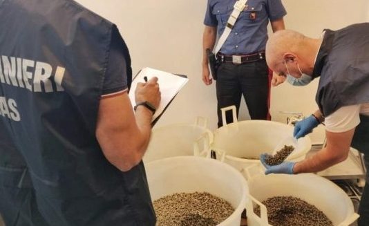 Frodi alimentari: i capperi “delle Eolie” venivano dall’Africa, sequestrate 13 tonnellate dai Nas
