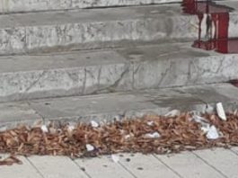 Messina, è stata uccisa la clochard trovata morta davanti alla chiesa di Santa Caterina