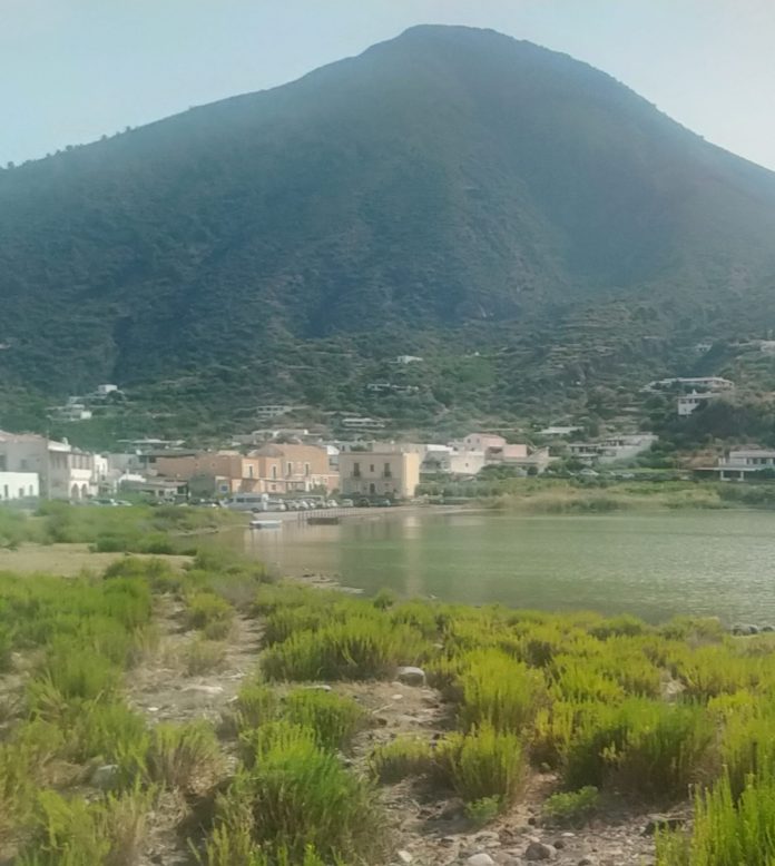 lingua_salina