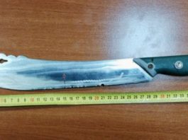 Colpisce connazionale con machete, arrestato srilankese