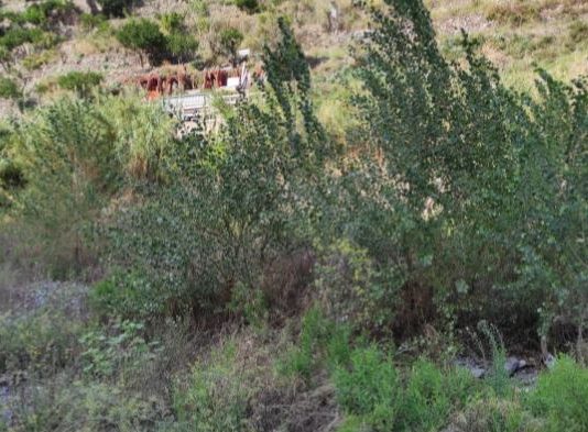 Piogge, chiesta la pulizia del torrente Giampilieri superiore