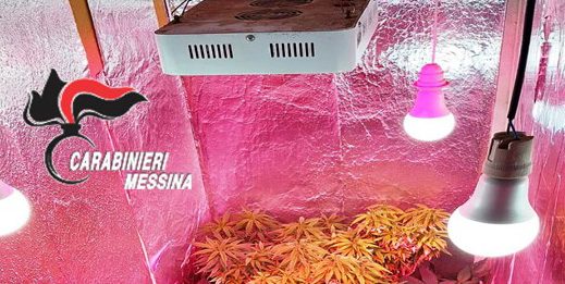 Coltiva marijuana in casa 39enne arrestato dai Carabinieri