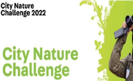 City Nature Challenge 2022, censimento della biodiversità nel territorio peloritano