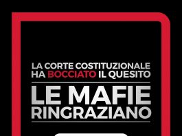 Referendum Cannabis, Comitato promotore: “persa occasione storica, ma la vera sconfitta è per le istituzioni”