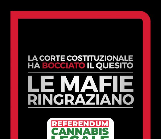 Referendum Cannabis, Comitato promotore: “persa occasione storica, ma la vera sconfitta è per le istituzioni”