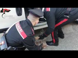 Su un furgone trasportava 17 chilogrammi di cocaina. 29enne arrestato dai Carabinieri