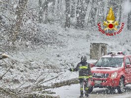 Primavera con la neve, Vigili del Fuoco liberano la SP176 da un grosso albero