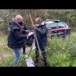 Patti: anziano cacciatore sequestrato per aver ucciso un suino. I Carabinieri eseguono tre arresti
