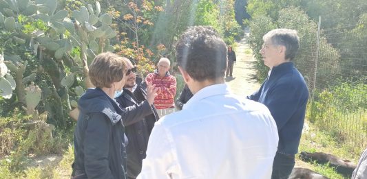 De Domenico al Canile Millemusi: “i cani di Messina non saranno portati altrove”