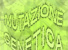 Mostra Mutazione Genetica alla EXANTEGALLERIA di Messina