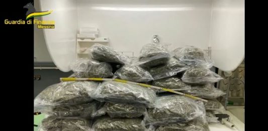 Cani antidroga in azione agli imbarcaderi: le Fiamme Gialle sequestrano 32 kg di marijuana