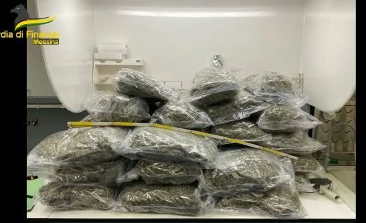 Cani antidroga in azione agli imbarcaderi: le Fiamme Gialle sequestrano 32 kg di marijuana