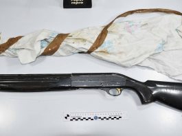 Armi e droga a Bisconte: blitz della Polizia