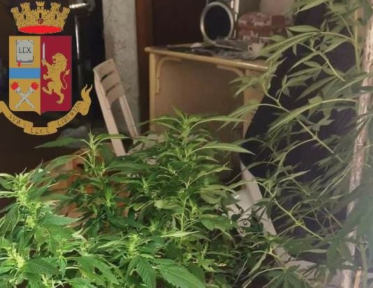 Coltivava marijuana, ai domiciliari 49enne messinese