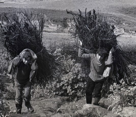 La montagna tra miti, simboli e culture in un convegno internazionale dedicato a Sebastiano Tusa