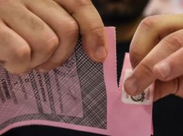 Elezioni Politiche e Regionali 2022 a Messina: l’affluenza alle ore 19