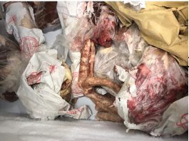 La Polizia municipale sequestra ristorante con annessa macelleria per carenze igienico sanitarie (foto)