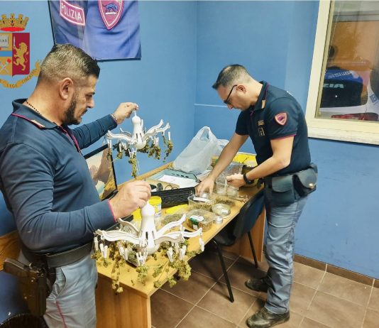 Laboratorio “fai da te” di marijuana, la polizia arresta 56enne