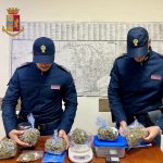 Conserva 600 gr. di marijuana in cantina, il forte odore attrae i poliziotti, arrestato 22enne