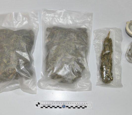 Servizi antidroga. La polizia arresta in flagrante spacciatore 32enne