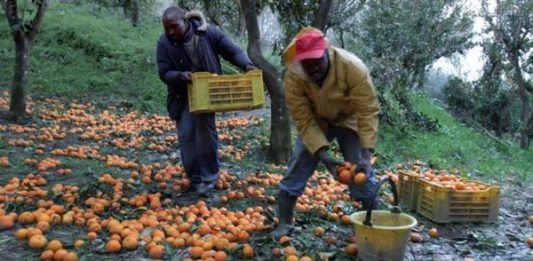 Mancanza di manodopera: per uscire dall’emergenza favorire l’immigrazione regolare