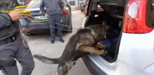 Durante il Covid la droga arrivava a Messina in ambulanza: 54 arresti