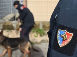 Torregrotta (ME): droga in casa, 53enne arrestato dai Carabinieri
