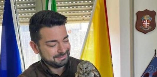 SOS natura: assiolo salvato a Giarre, sarà curato dal Cras di Messina