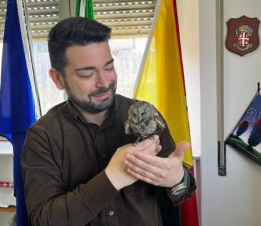 SOS natura: assiolo salvato a Giarre, sarà curato dal Cras di Messina