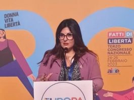 Palmira Mancuso (Più Europa): “smontiamo le fake news, il Ponte non è urgente e neppure necessario”