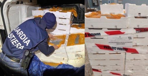 Pesca di frodo: sequestrati 350 kg di neonata di sarda,25 mila euro di multa