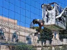 Un “povero gabbiano” impigliato tra le reti di Cristo Re, a savarlo i Vigili del Fuoco