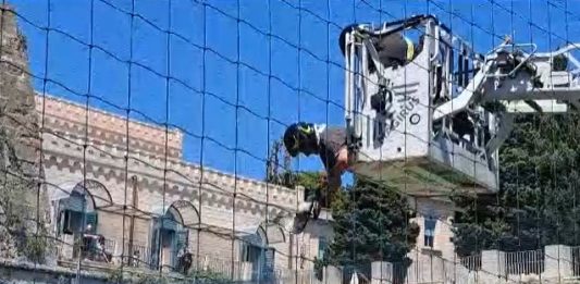 Un “povero gabbiano” impigliato tra le reti di Cristo Re, a savarlo i Vigili del Fuoco