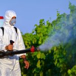 Disinfestazione a Messina:  da lunedì 31 interessata la zona Sud, il calendario