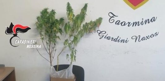 Arrestato 29enne a Taormina per droga: oltre 650 dosi pronte per la vendita