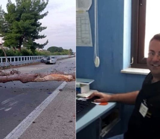 Albero cade sulla A20 e provoca un incidente mortale