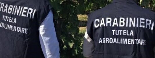 Operazione Antifrode: 7 misure cautelari eseguite a Messina per truffa ai danni dell’Unione Europea