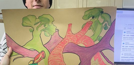 Messina, al liceo Seguenza si parla di ambiente