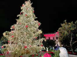 “Immagina Messina”: prosegue il calendario degli appuntamenti natalizi in Città