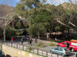 Forte vento a Messina, ville comunali chiuse: un albero cade sul cancello di una scuola
