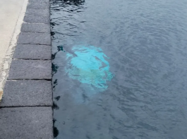 Incidente al Porto di Tremestieri, 82enne finisce in mare ma è salvo