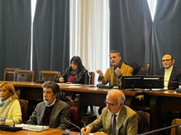 Il Comitato “Invece del Ponte” al Comune: “Impatto devastante e disastroso stravolgimento da Contesse a Torre Faro”