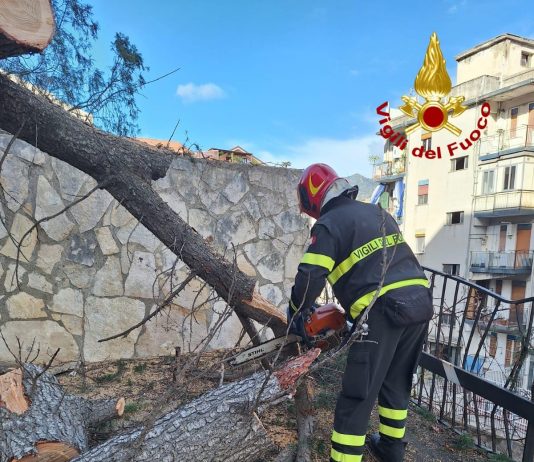Raffiche di vento e danni: oltre 50 interventi dei Vigili del Fuoco
