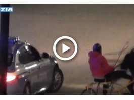 Corse clandestine di cavalli, blitz della Polizia (video)