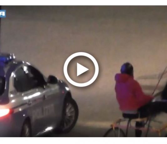 Corse clandestine di cavalli, blitz della Polizia (video)
