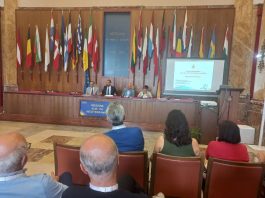 Brand Messina e Turismo”: nel 2023 forte incremento di arrivi in città di turisti, dato in crescita anche nel 2024