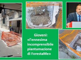 Gioveni critica la piantumazione del progetto ForestaMe in via La Farina